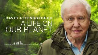 David Attenborough  A Life On Our Planet  Audio Book [upl. by Einad941]