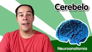 Neuroanatomia 5  Cerebelo [upl. by Orlan]