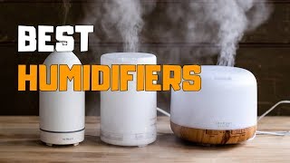 Best Humidifiers in 2020  Top 6 Humidifier Picks [upl. by Charisse]