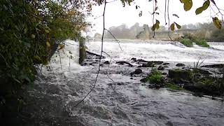 Kirkham Abbey Fish Pass River Derwent [upl. by Kalmick981]