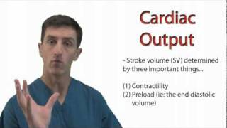 The Physiology of Cardiac Output [upl. by Ilbert]