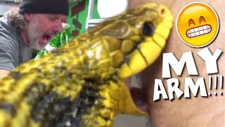 SNAKE BITES AND SNAKE FACTS with CHEWY hilarious  BRIAN BARCZYK [upl. by Trant200]