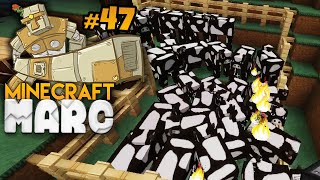 Minecraft MARC 47  VENIS MASSENTIERHALTUNG  Dner [upl. by Tongue]