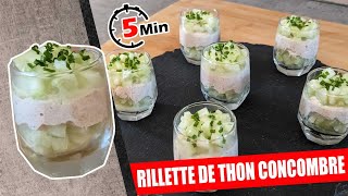 RILLETTE DE THON CONCOMBRE VERRINE SALEE PREPARER EN 5 MIN POUR UN APERITIF ET TRES PEU CALORIQUE [upl. by Ellenij139]