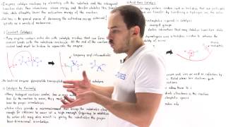 Mechanisms of Enzyme Catalysis [upl. by Nomaj537]