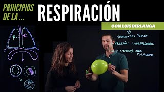 Ventilación pulmonar principios básicos de la respiración [upl. by Cornelia]