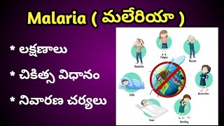 Malaria Symptoms and treatment in Telugu  మలేరియా లక్షణాలునివారణ చర్యలు [upl. by Gayner]