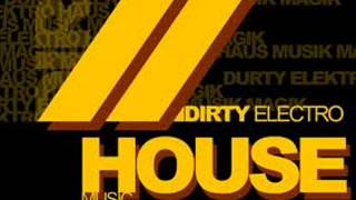 DIRTYELECTRO HOUSE MIX 2013 [upl. by Amick746]