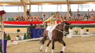 FEI European Vaulting Championships 2013  Junior Female 03 Blanka Nemeth [upl. by Katee]