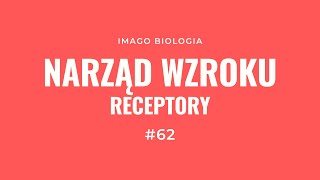 Narząd wzroku Receptory [upl. by Child179]