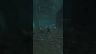 Carp Scale in Sunken Valley 2  Sekiro Shadows Die Twice 1080p 60FPS PC [upl. by Anneiv569]