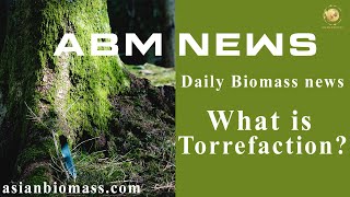 Torrefaction of biomass [upl. by Saihttam]