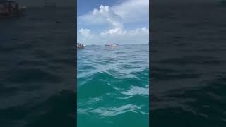 Nadando con los Tiburones Ballenas saliendo de la Isla Holbox Quintana Roo [upl. by Yehudit653]