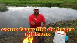 Como fazer filé de bagre africano [upl. by Nugent]