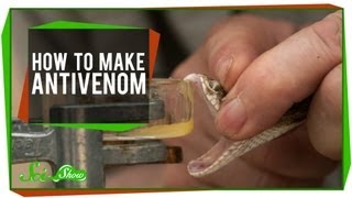 How To Make Antivenom [upl. by Yerbua]