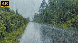 Overcome Stress and Enjoy a Good Nights Sleep with Heavy Rain and Thunder on a Quiet Forest Road [upl. by Ikram]