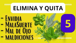 Elimina y QUITA La Envidia mal de Ojo y Salamiento con 5 hierbas vannesaom viral [upl. by Assyram]