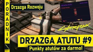 Drzazga Atutu 9  PORADNIK  Drzazga Rozwoju  Punkty Atutów za darmo  Cyberpunk 2077 [upl. by Brote543]