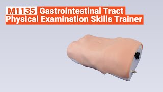 M1135  Gastrointestinal Tract Physical Examination Skills Trainer Full [upl. by Atilef501]