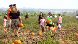 Aloun Farms Pumpkin Patch [upl. by Deena]