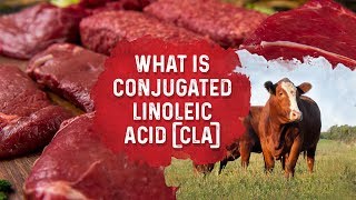 What Is Conjugated Linoleic Acid – Dr Berg [upl. by Ginsburg43]