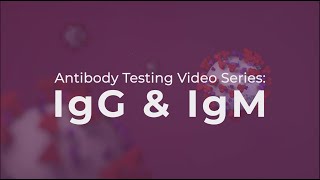 Antibody Testing IgG and IgM explained [upl. by Hairahcaz263]