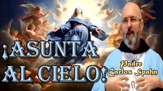 🔷 SOLEMNIDAD DE LA ASUNCIÓN DE LA VIRGEN MARÍA  P Carlos Spahn [upl. by Haslam]