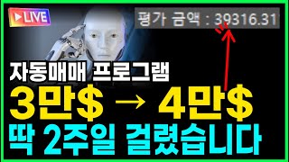 1만불 수익까지 딱 2주일 걸렸습니다 │ 자동매매 프로그램 무료 공유 中 [upl. by Ferdinand405]