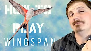 How to play Wingspan Board Games [upl. by Cromwell58]