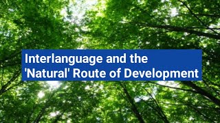 Interlanguage and the Natural Route of Development [upl. by Seugram]