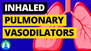 Inhaled Pulmonary Vasodilators Medical Definition  Quick Explainer Video [upl. by Mandi]