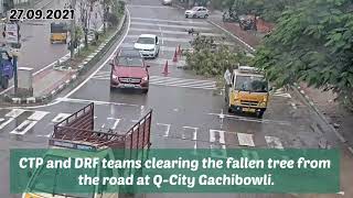 CTP and DRF teams clearing the fallen tree  Cyberabad Traffic Police [upl. by Ainerol]