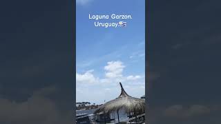 Puente Laguna Garzon Uruguay🇺🇾 [upl. by Hameean595]