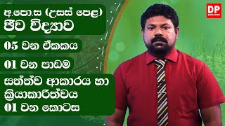 05 වන ඒකකය  01 වන පාඩම  සත්ත්ව ආකාරය හා ක්‍රියාකාරිත්වය  01 වන කොටස [upl. by Yticilef736]