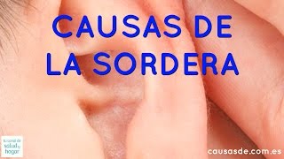 Causas de sordera [upl. by Lledyr]