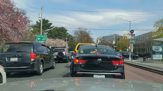 NYC Drive Pelham Parkway in a Crown Victoria  Bronx Park and Fordham Road  blooming trees [upl. by Lombardo]