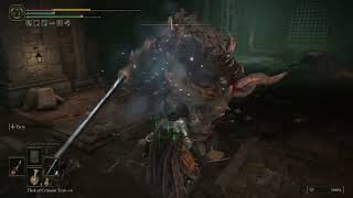 Elden Ring  Dual Parry Dagger Build [upl. by Rice]