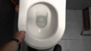 Bathroom Tour Duravit Washdown Toilet at Cookies in Jamaica New York [upl. by Ahsenauq]