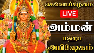 🔴LIVE செவ்வாய்க்கிழமை அம்மன் மஹா அபிஷேகம்  Tuesday Amman Abhishekam shorts amman abhishekam [upl. by Auqenehs]