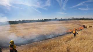 2024 Bidwell Park  Grassland Burning Tactics [upl. by Kenwrick121]