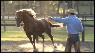 4H Horse Show [upl. by Duff]