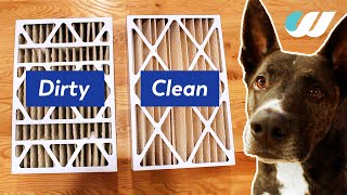 How to Change Your Furnace Filter Trane Furnace [upl. by Drallim]