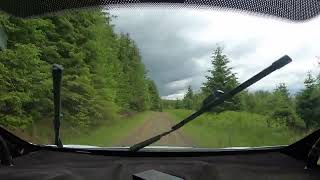 Kielder Forest Rally 15 June 2024 Falstone 2 SS4 [upl. by Annavoig]