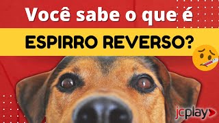 ESPIRRO REVERSO Veterinário explica como identificar os sintomas e tratálos [upl. by Hanae792]