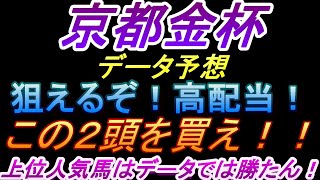 【京都金杯２０２４】データ予想 中穴人気の２頭が来るぞ！ここでお年玉Ｇｅｔじゃ～！ [upl. by Doble727]