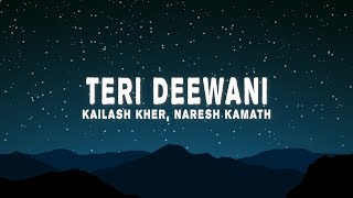 Kailash Kher  Teri Deewani Lyrics [upl. by Yllor]