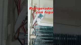 Refrigerador no congela y no enfría [upl. by Aicercul482]