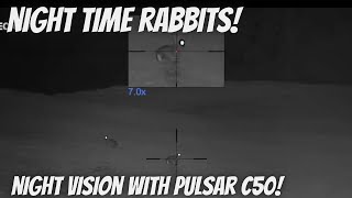 Night time rabbit control with the 17HMR amp Pulsar C50 scope [upl. by Giule]