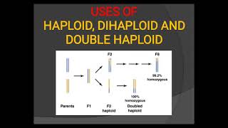 Use of Haploid Dihaploid and Double haploids [upl. by Ravens334]