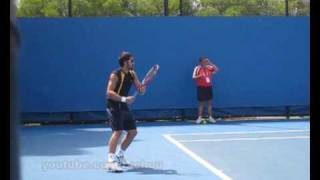 Janko Tipsarević  Slow Motion Forehands [upl. by Lyram]